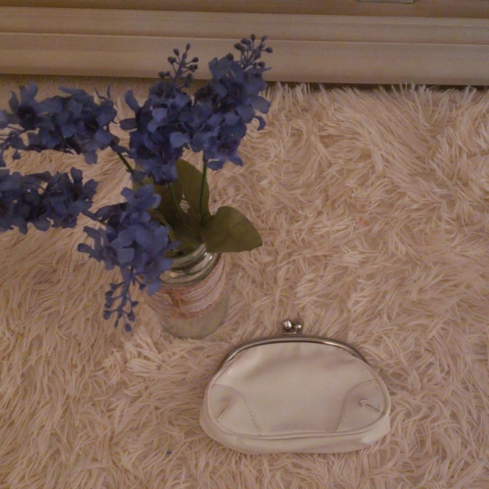 Express coin purse